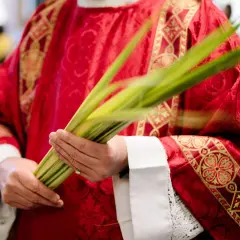 Kapłan w czerwonej, bogato zdobionej szacie trzyma gałązki palmowe. Długość mszy w Niedzielę Palmową zależy od parafii.